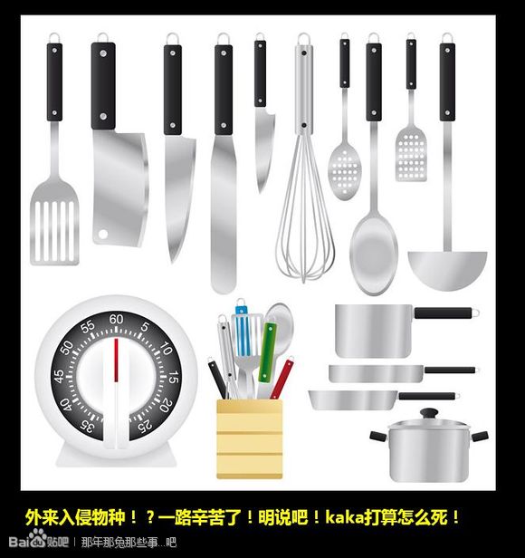 f38d88a1cd11728bbed2c01ec9fcc3cec2fd2c98.jpg
