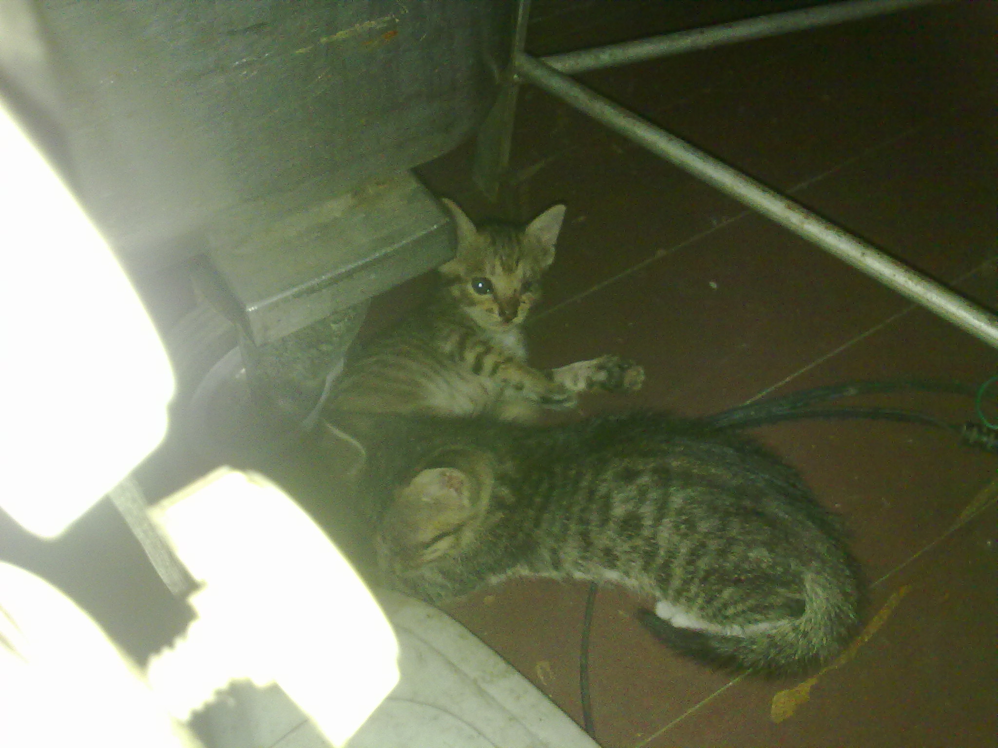 201309101104.jpg